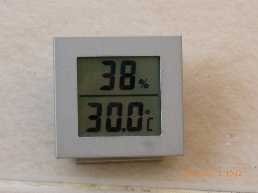 P1080500.jpg