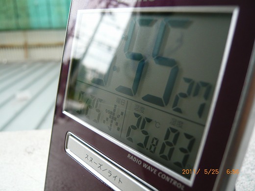 P1090277.jpg