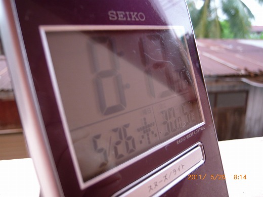 P1090305.jpg